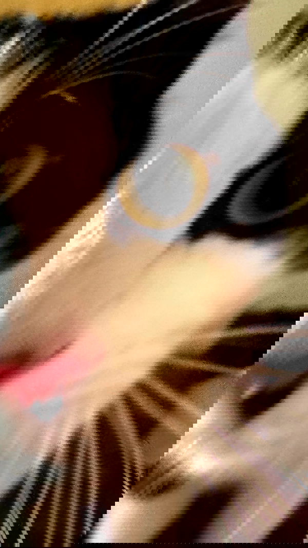 ratskeleton ratskeleton archive image