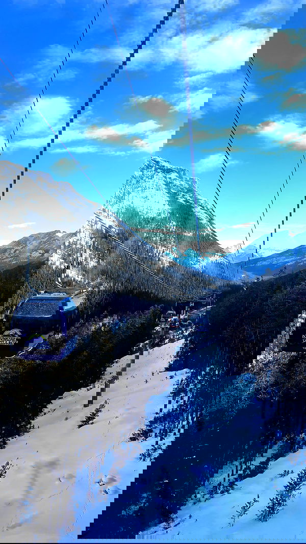 rchhhll image ~ Altpins