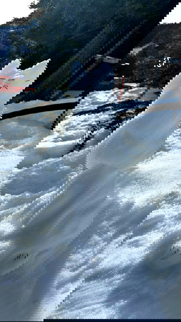 rchhhll image ~ Altpins