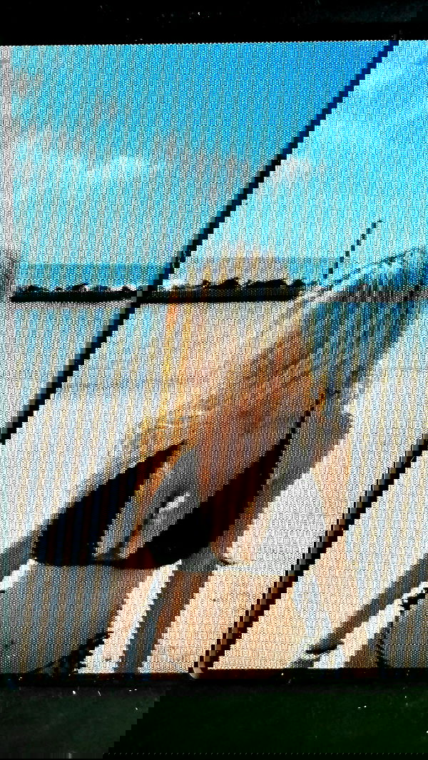 rchhhll image ~ Altpins