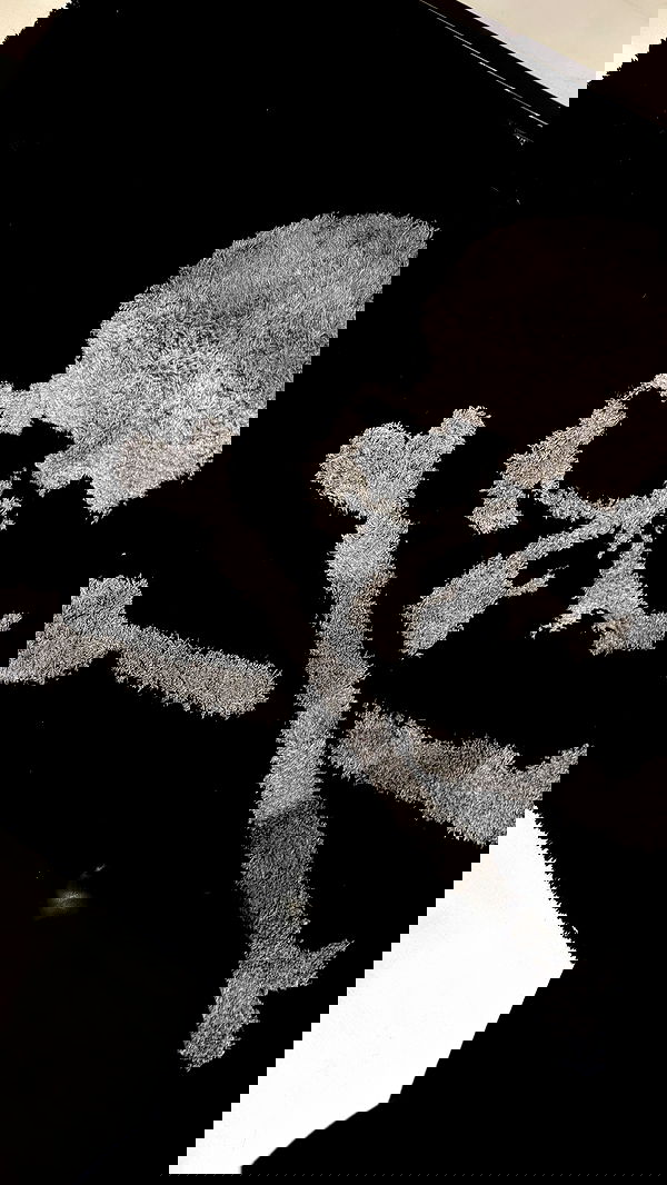 rchhhll image ~ Altpins