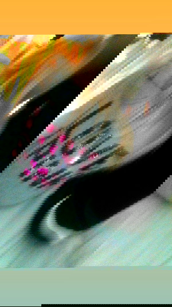 rchhhll image ~ Altpins