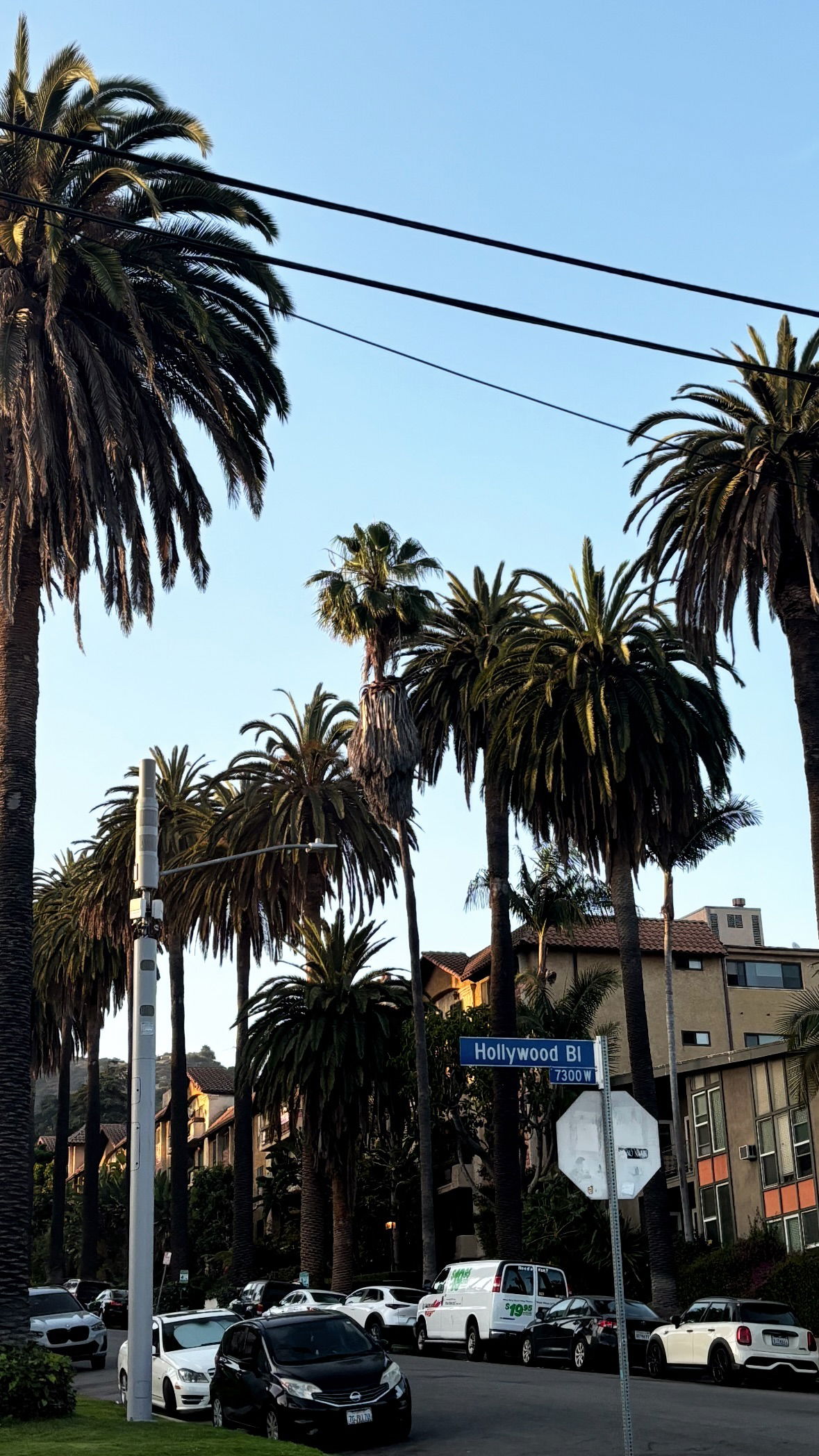 rchhhll instagram image archive image