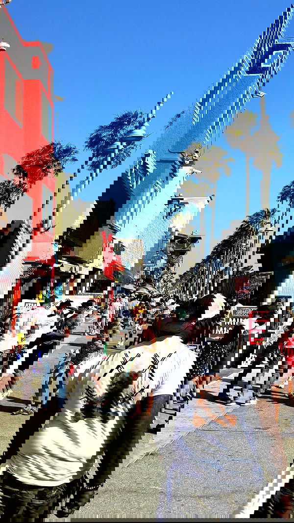 rchhhll image ~ Altpins