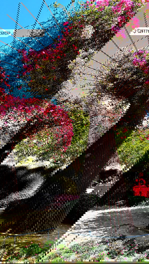 rchhhll image ~ Altpins