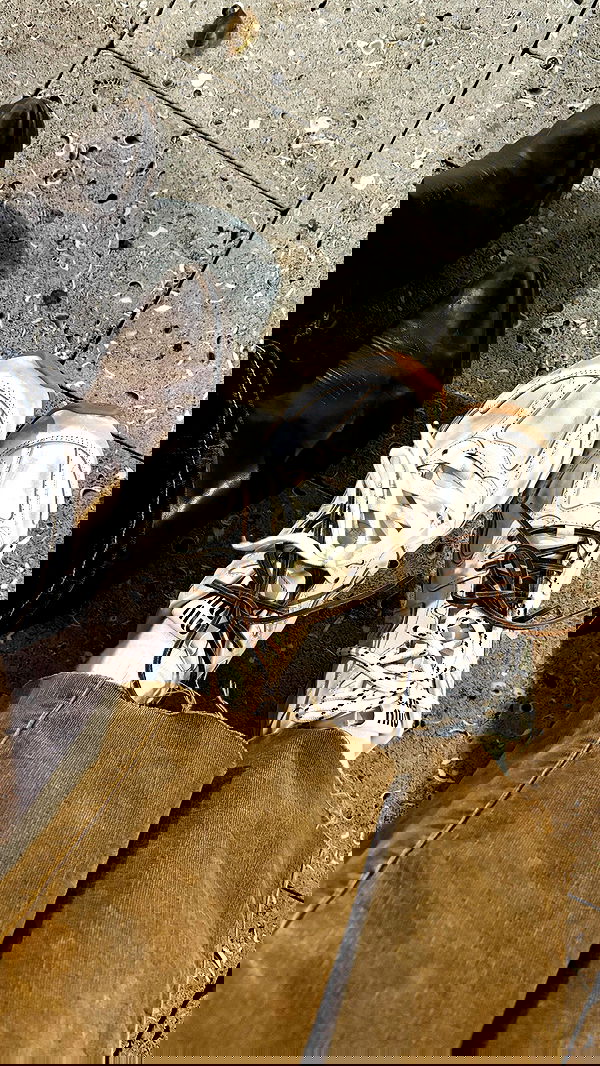 rchhhll image ~ Altpins