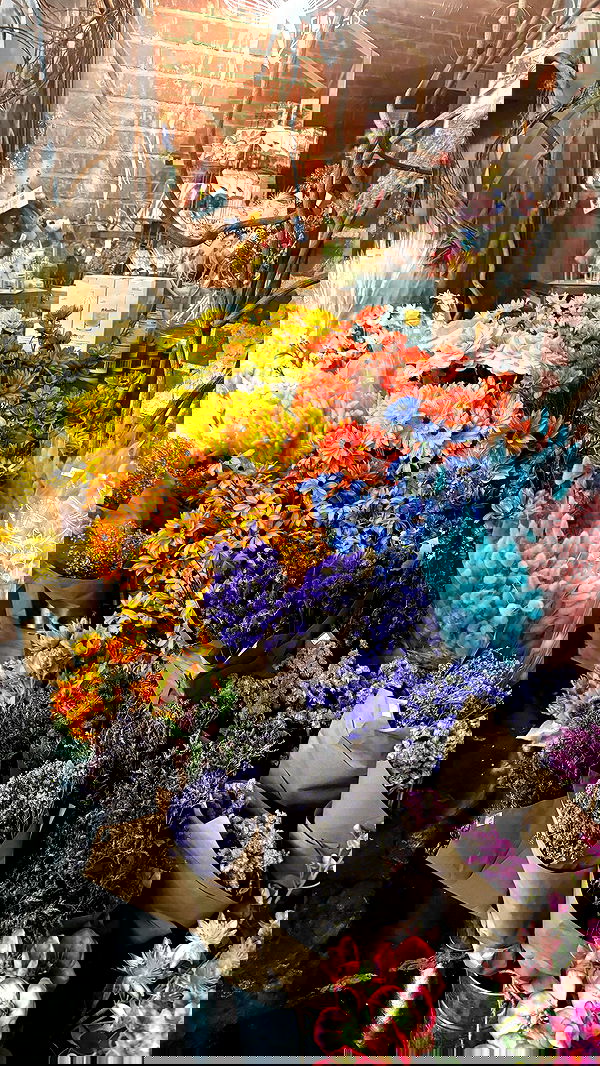 rchhhll image ~ Altpins