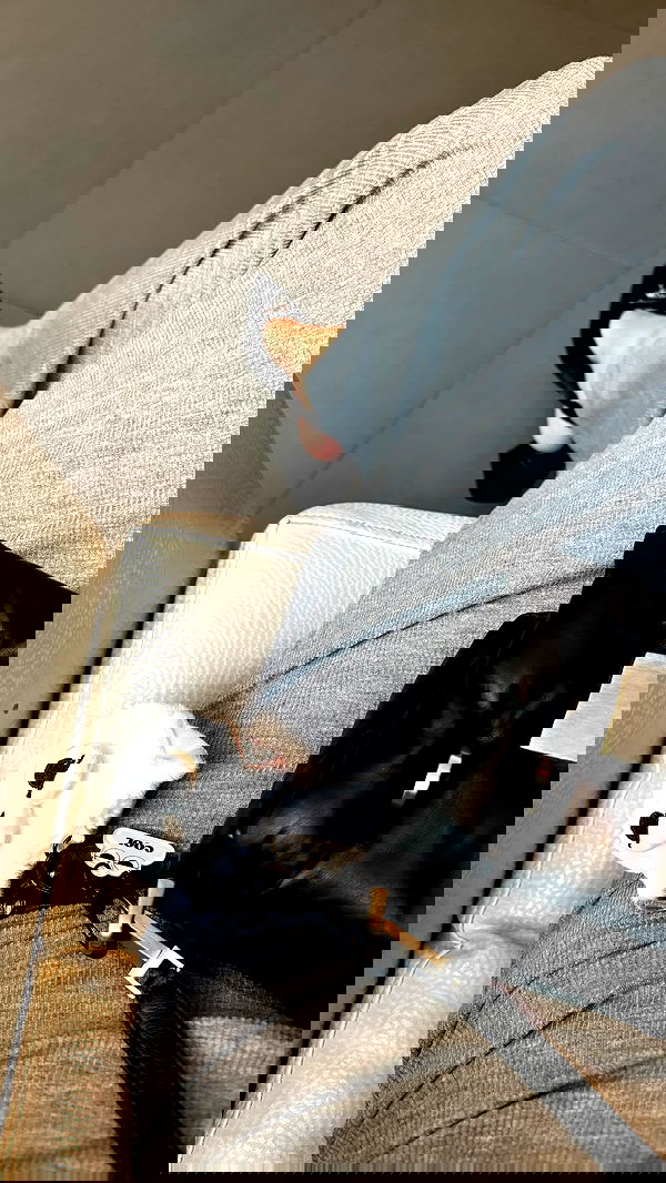 rchhhll image ~ Altpins