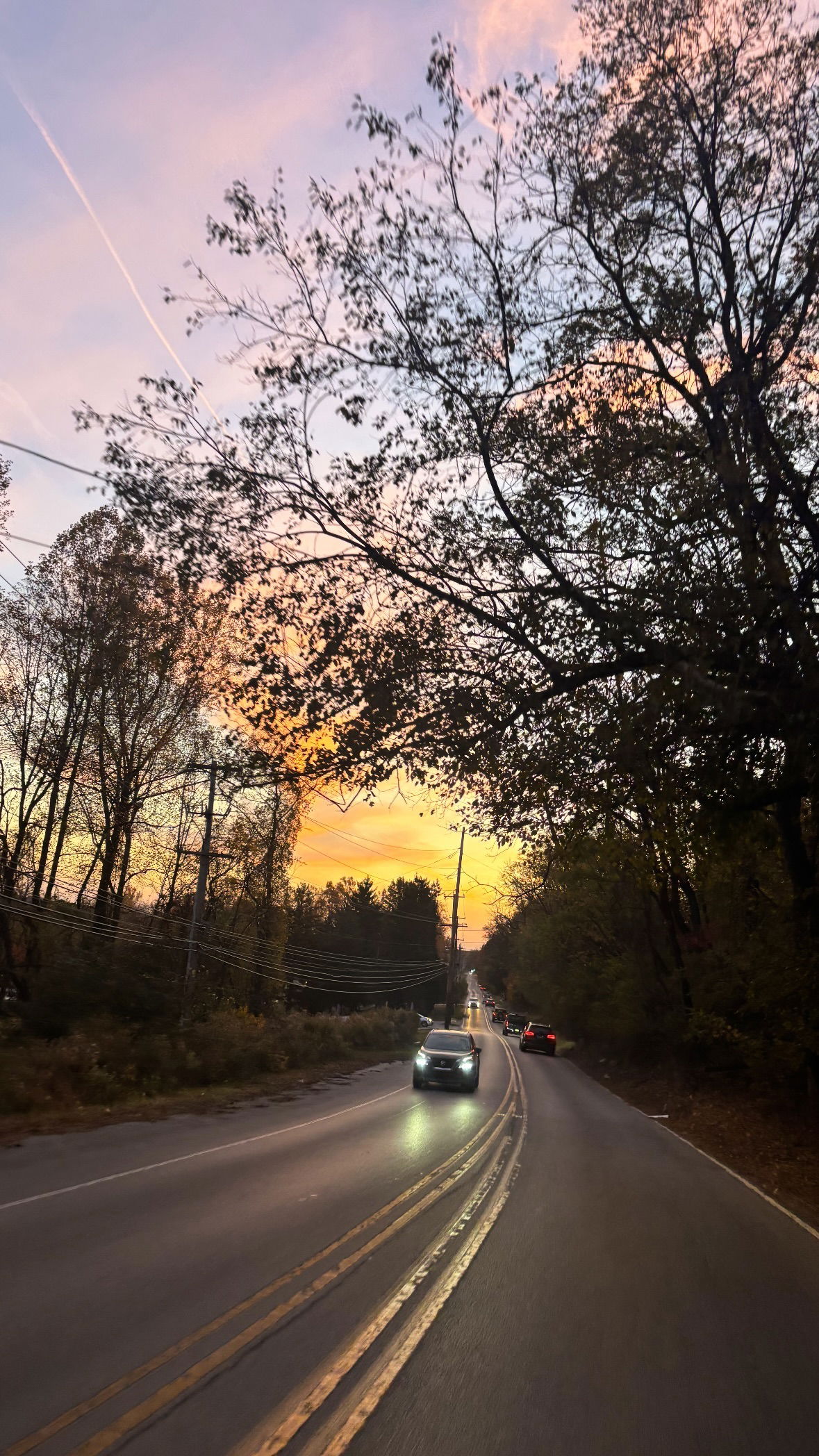 rchhhll instagram image archive image