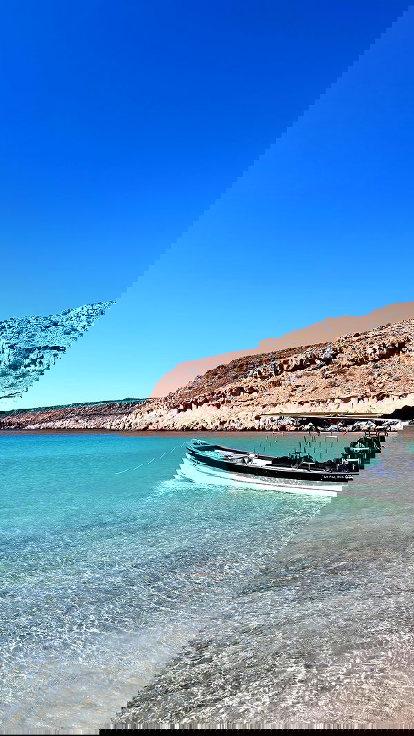 rchhhll image ~ Altpins