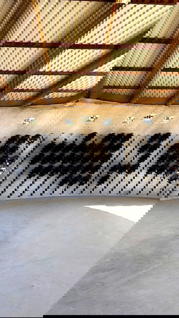 rchhhll image ~ Altpins