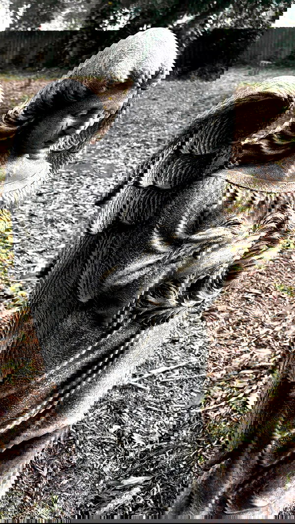 rchhhll image ~ Altpins