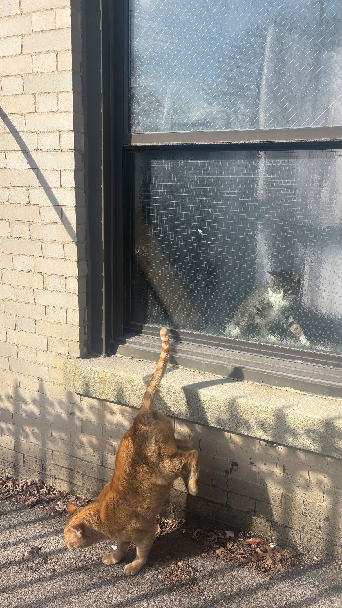 rchhhll instagram image archive image