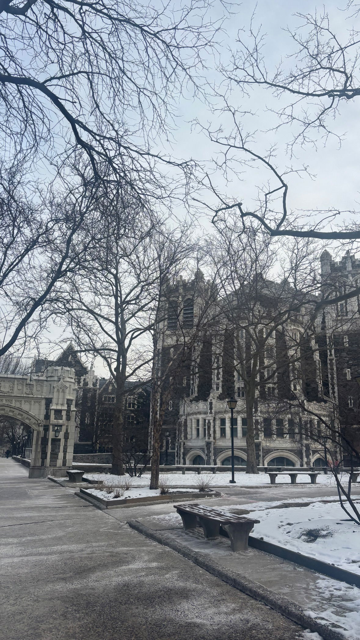 rchhhll instagram image archive image