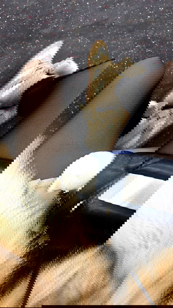 rchhhll image ~ Altpins