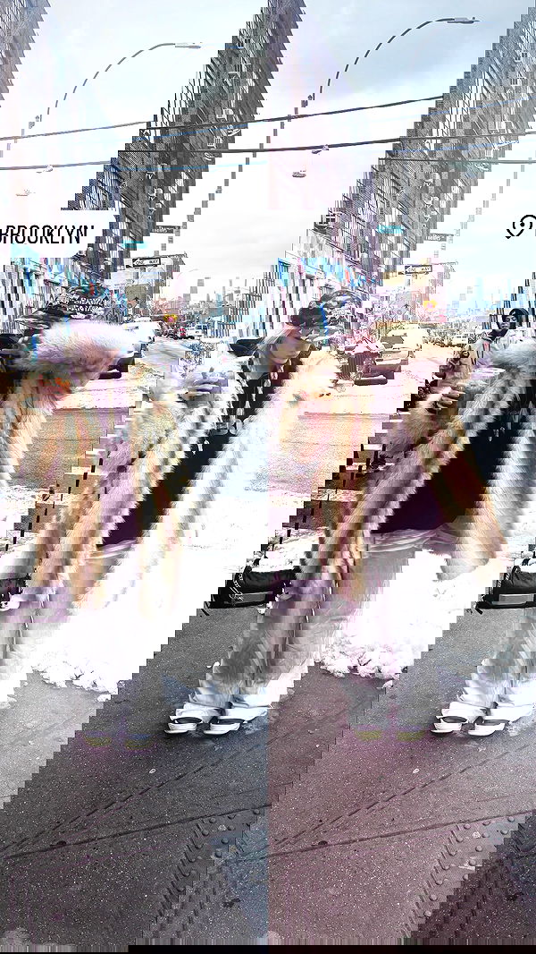 rchhhll image ~ Altpins