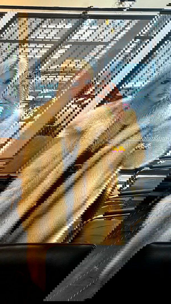 rchhhll image ~ Altpins