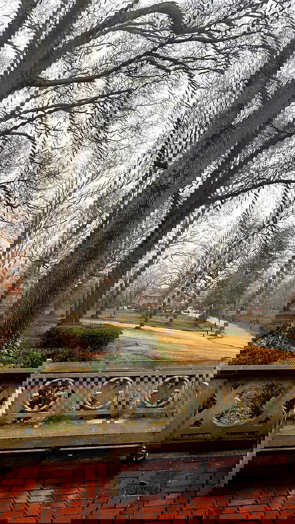 rchhhll image ~ Altpins