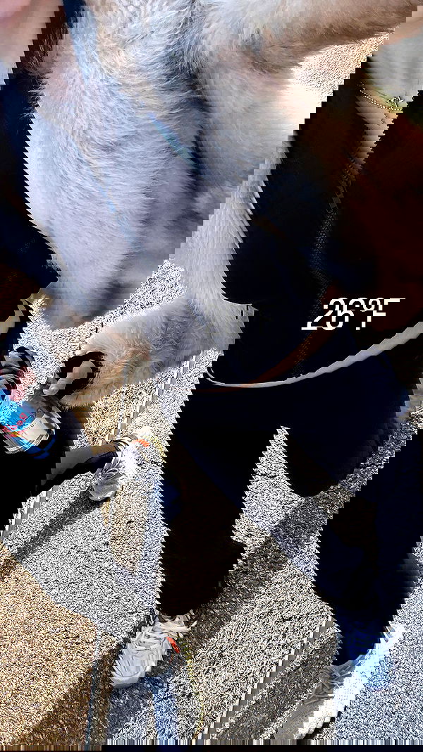 rchhhll image ~ Altpins