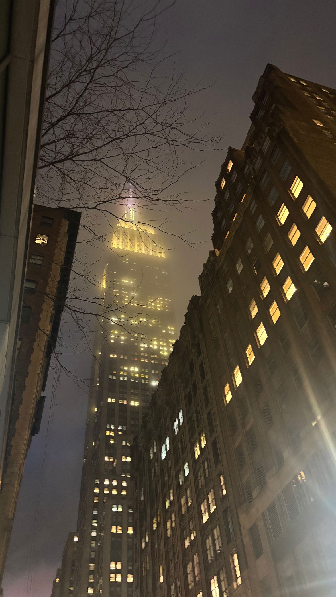 rchhhll instagram image archive image