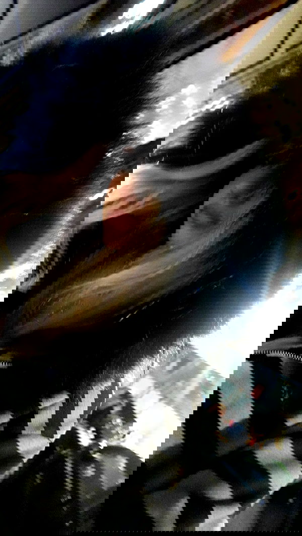 rchhhll image ~ Altpins