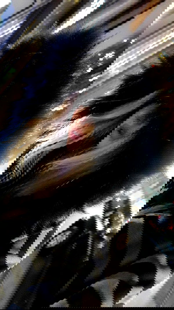 rchhhll image ~ Altpins