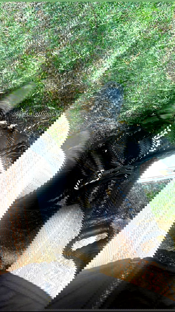 rchhhll image ~ Altpins