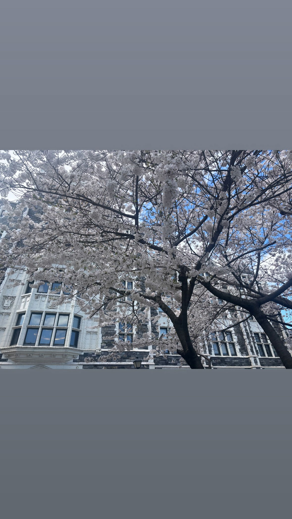 rchhhll instagram image archive image