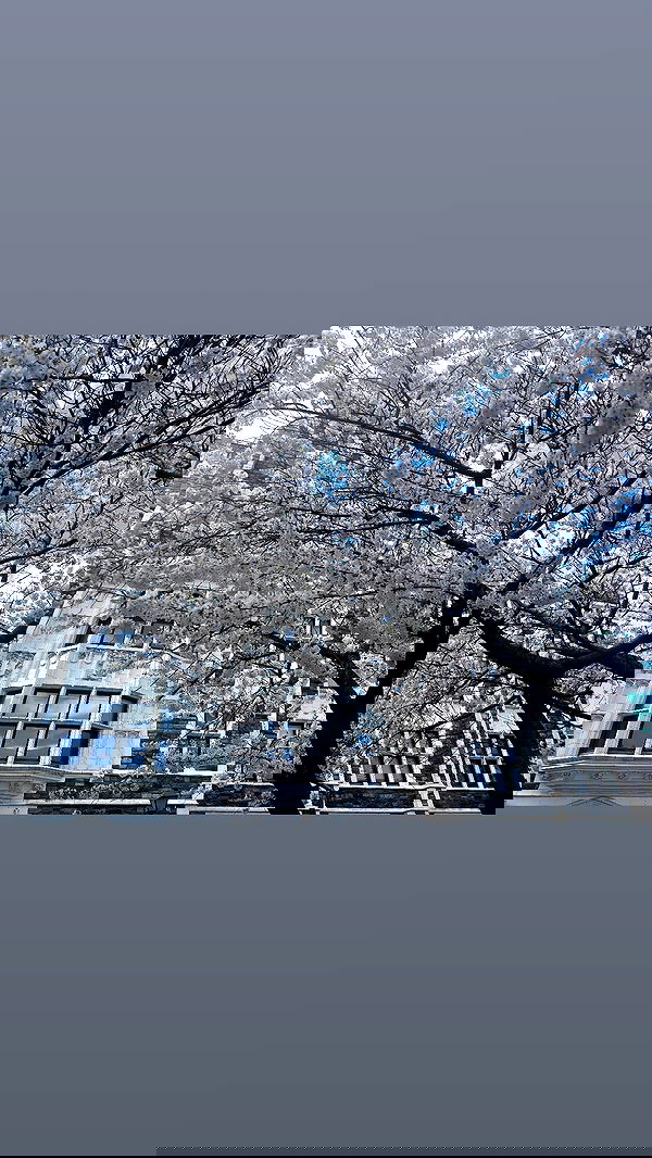 rchhhll image ~ Altpins