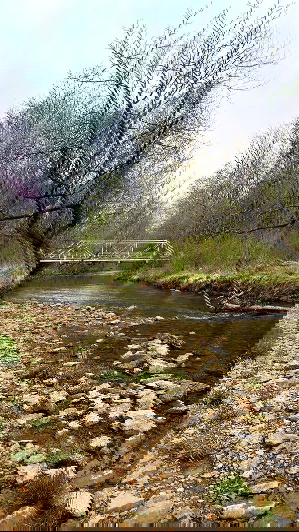 rchhhll image ~ Altpins