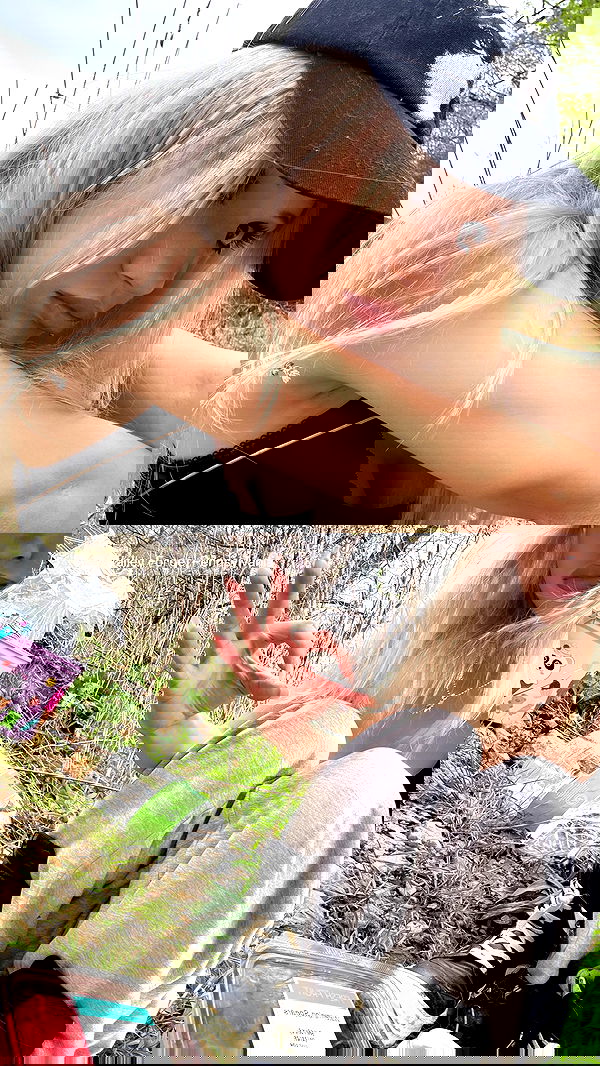 rchhhll image ~ Altpins