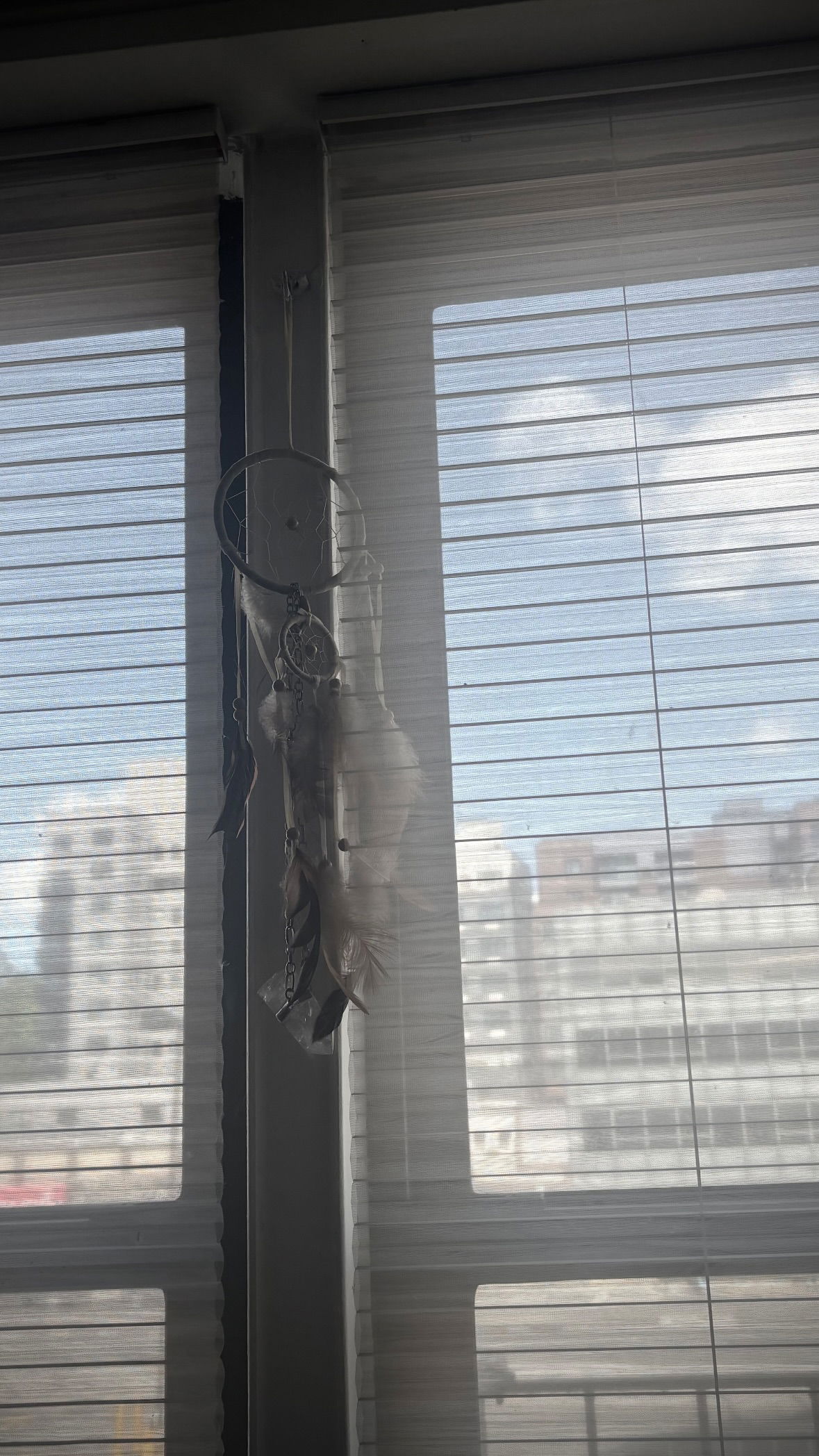 rchhhll instagram image archive image