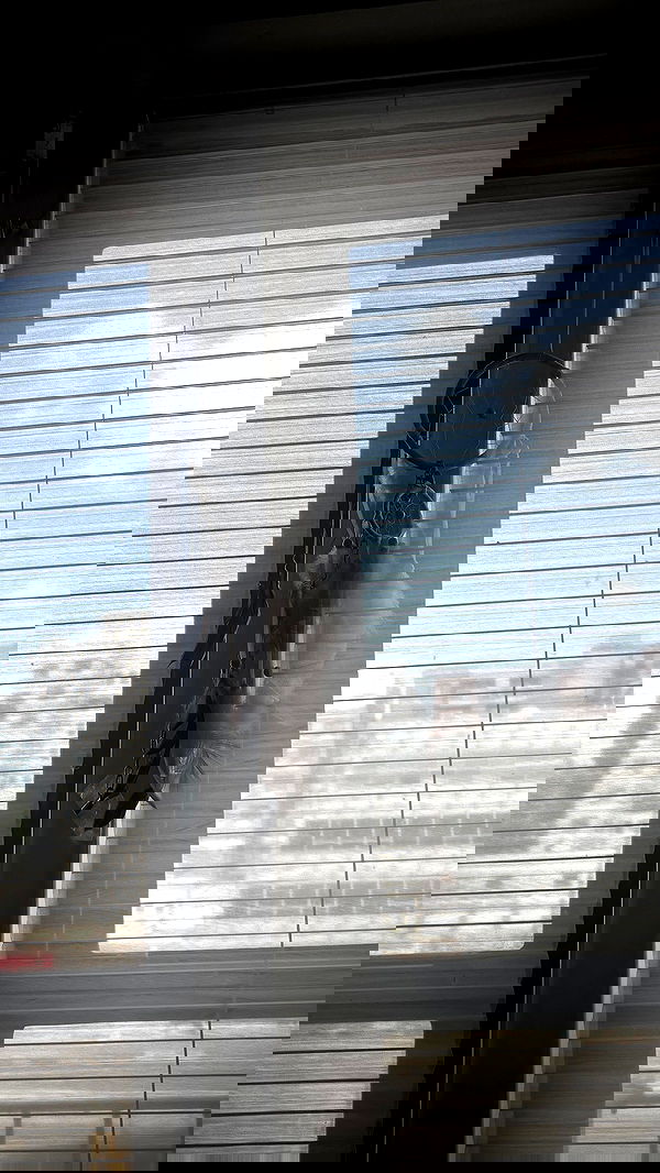 rchhhll image ~ Altpins