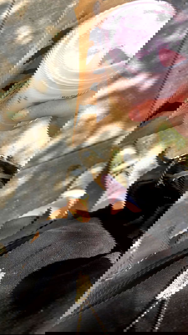 rchhhll image ~ Altpins