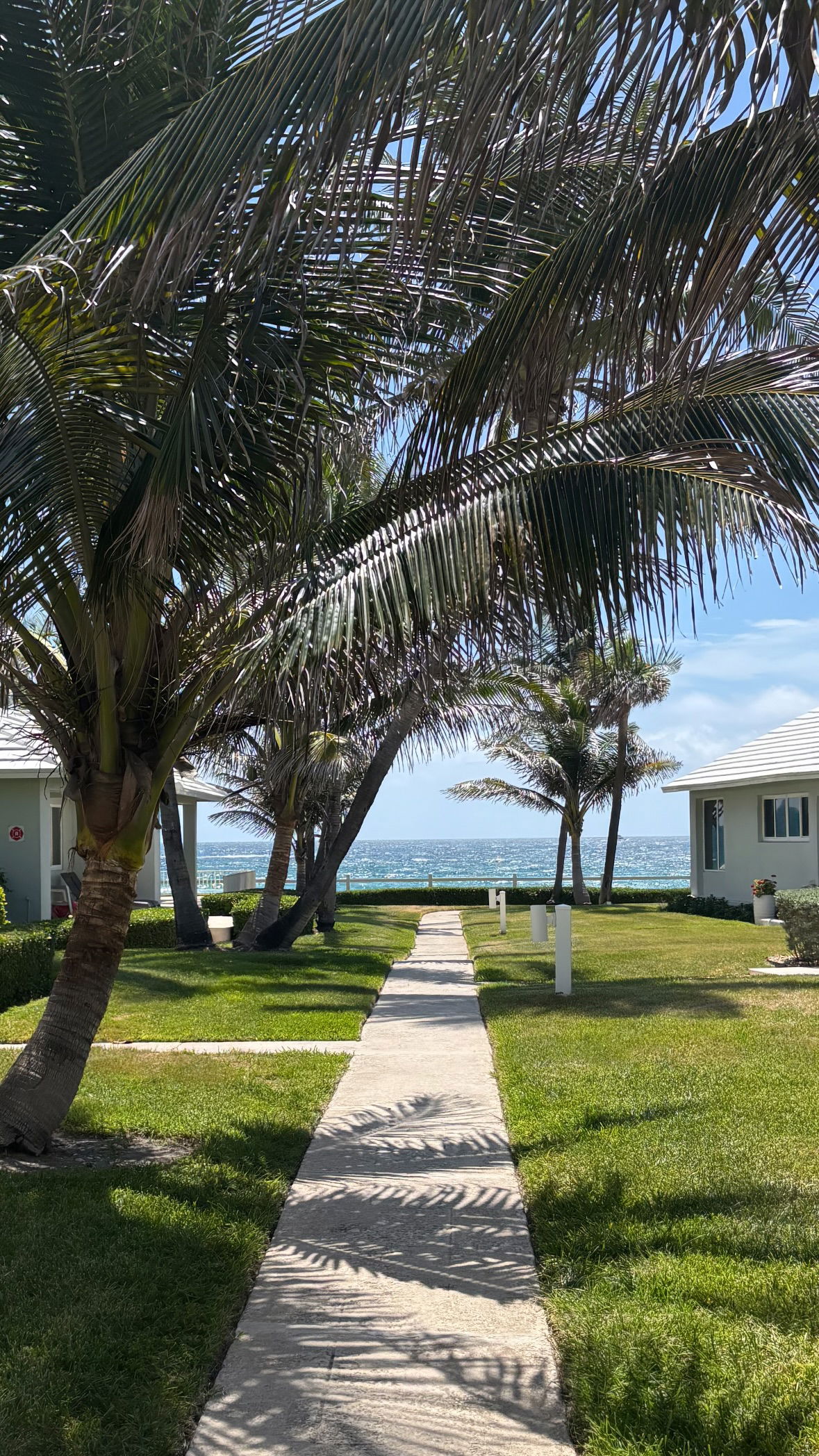 rchhhll instagram image archive image