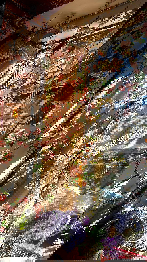 rchhhll image ~ Altpins