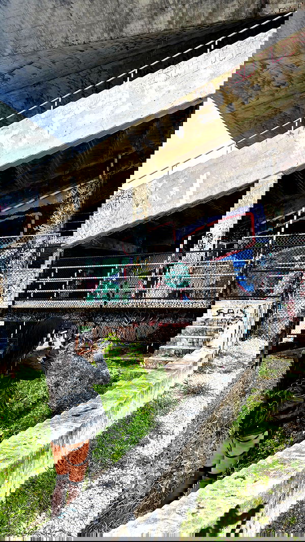 rchhhll image ~ Altpins