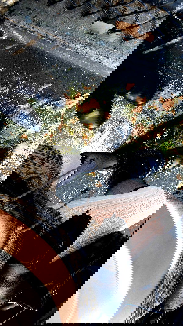 rchhhll image ~ Altpins