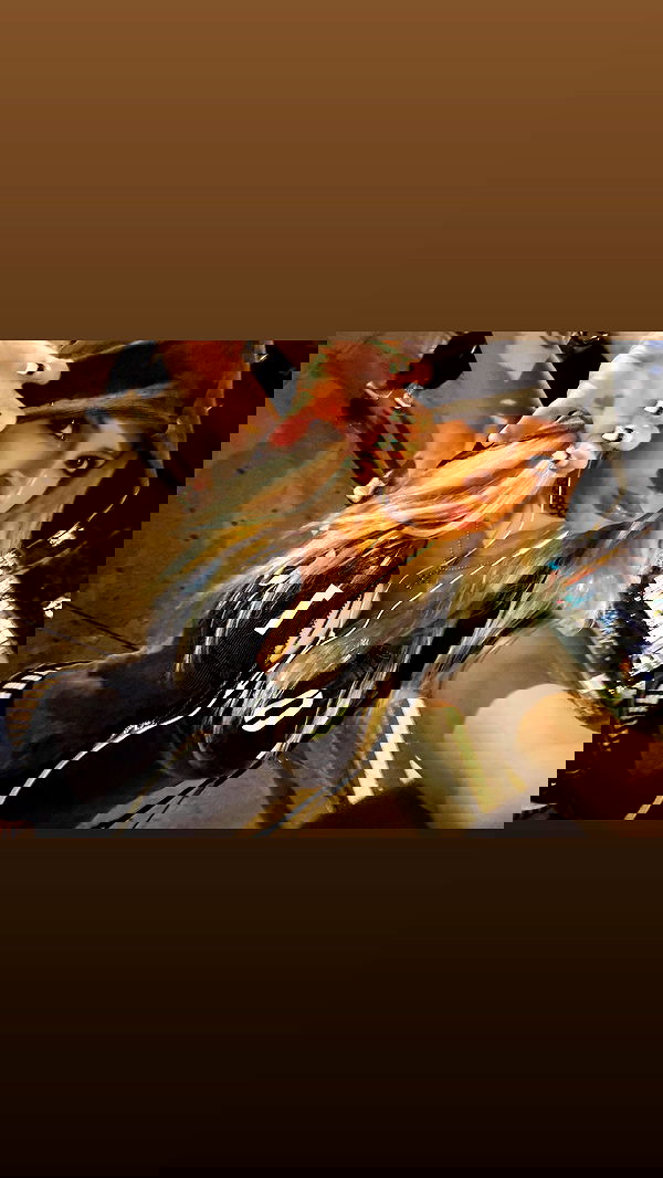 rchhhll image ~ Altpins