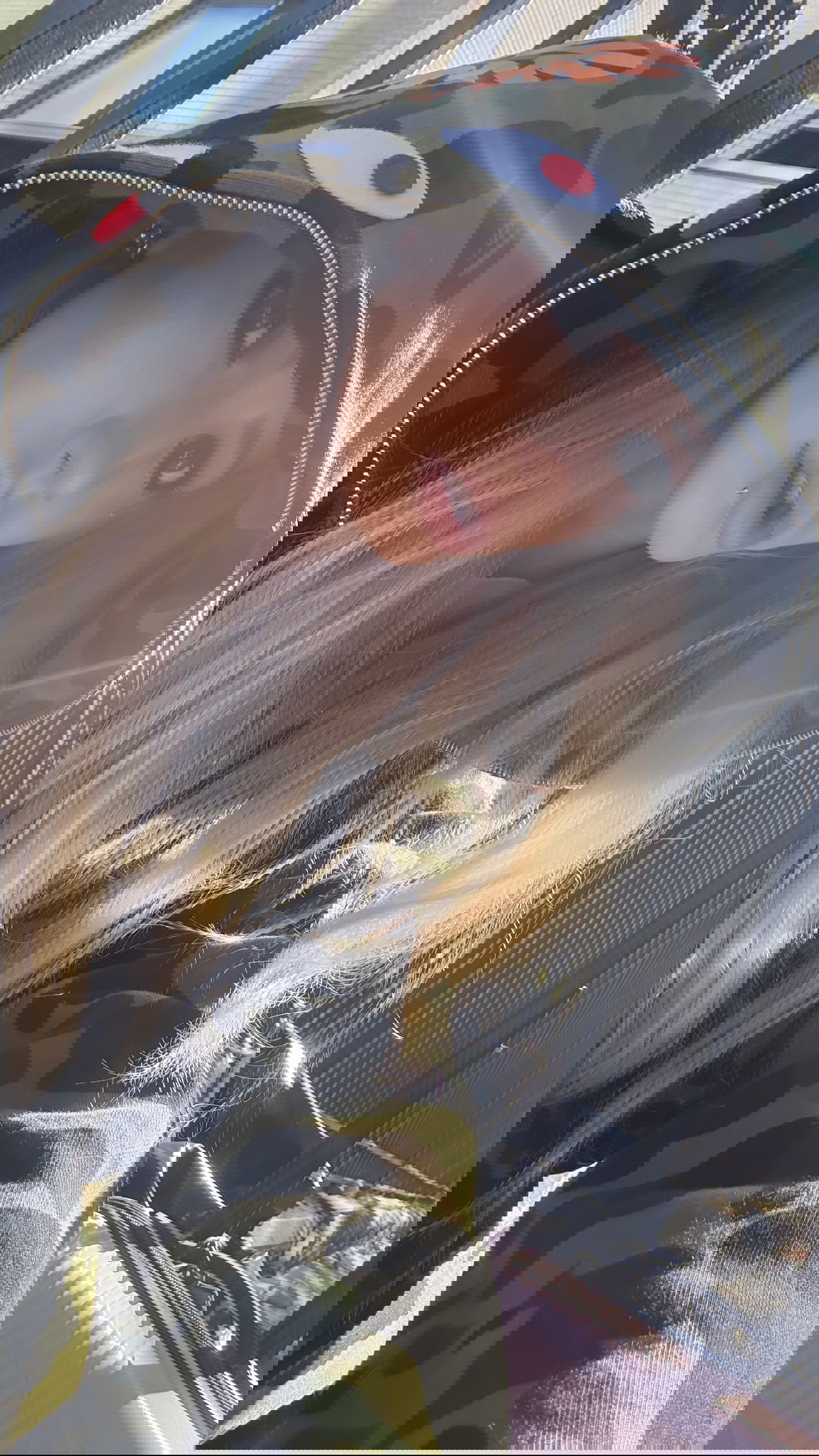 rchhhll instagram image archive image