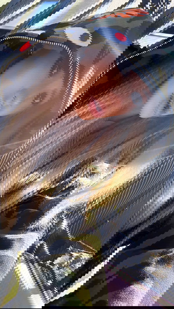 rchhhll image ~ Altpins