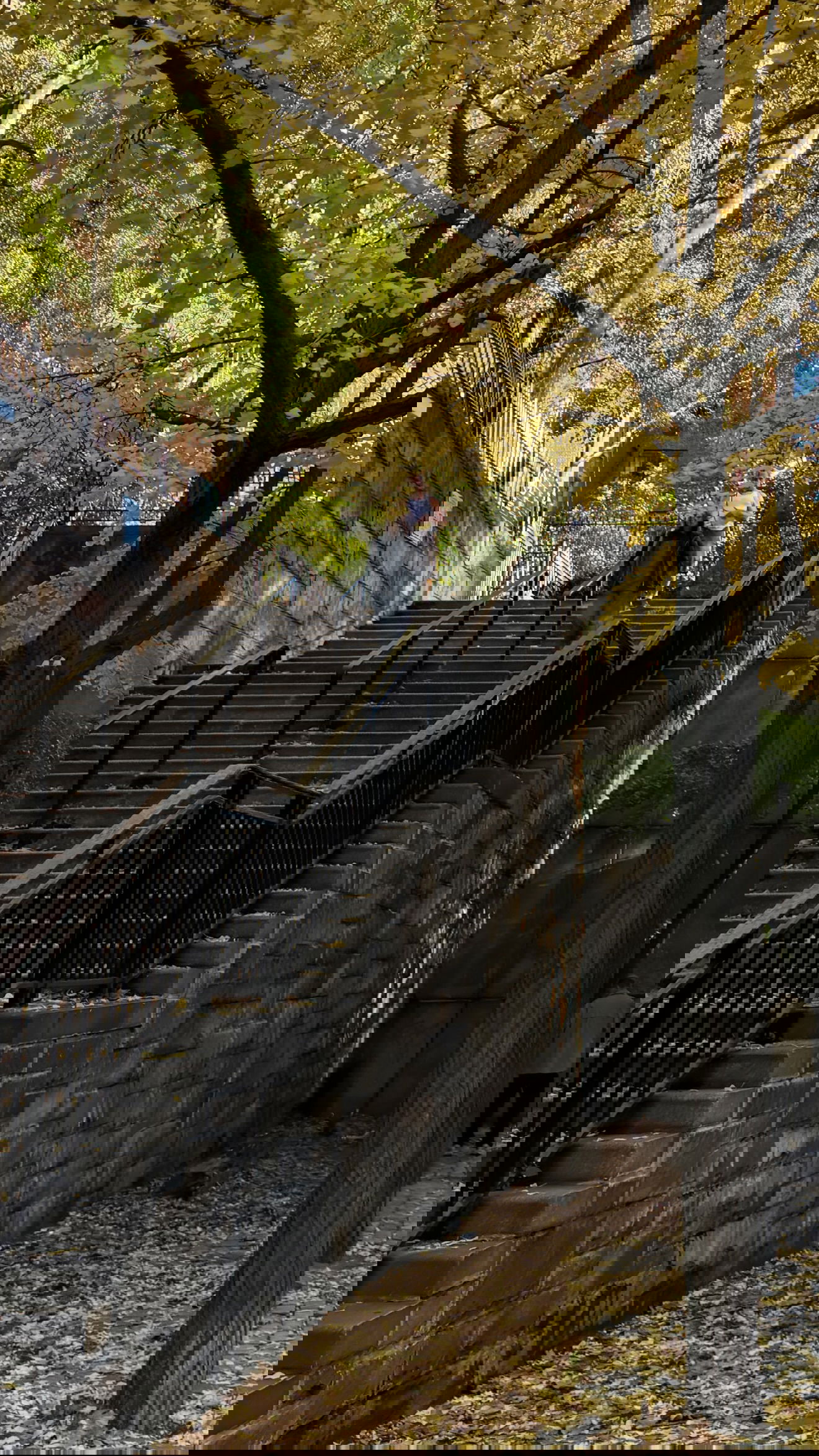 rchhhll instagram image archive image