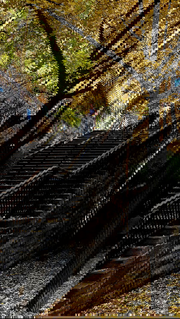 rchhhll image ~ Altpins