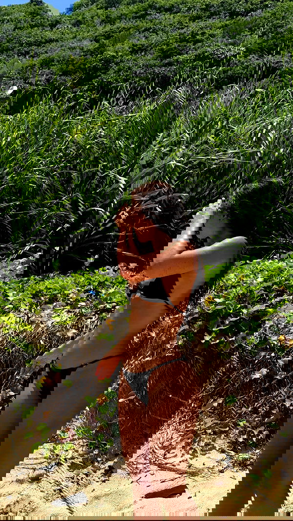 rebeccaschez rebeccaschez archive image