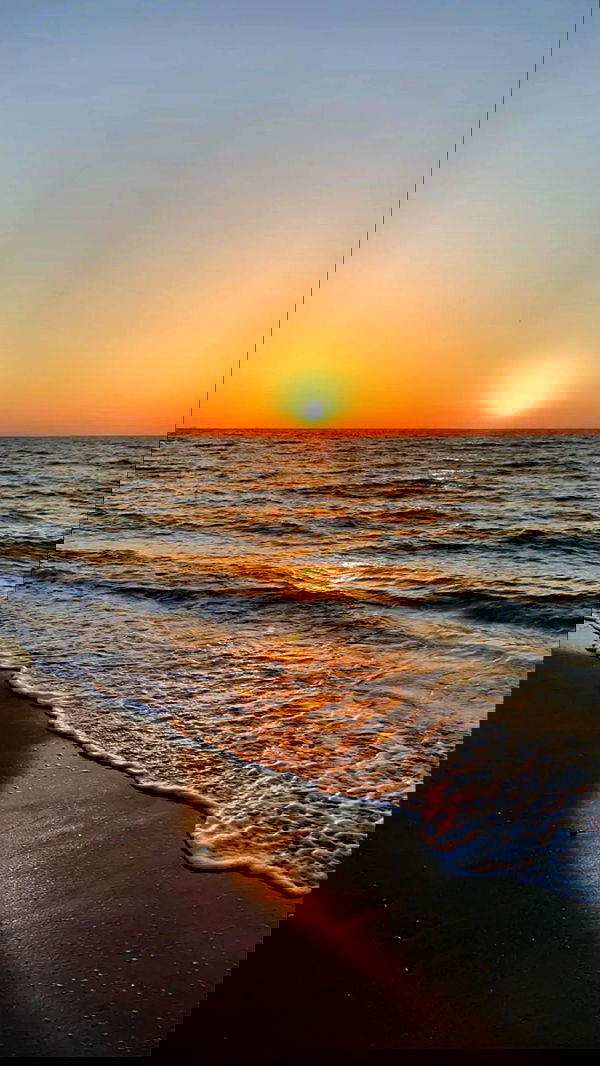 rebeccaschez rebeccaschez archive image