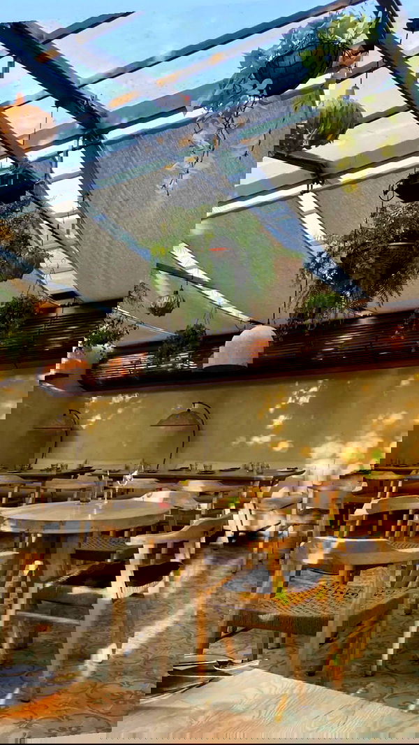 rebeccaschez rebeccaschez archive image