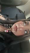 rebecka_tsadok Altpins Profile Picture