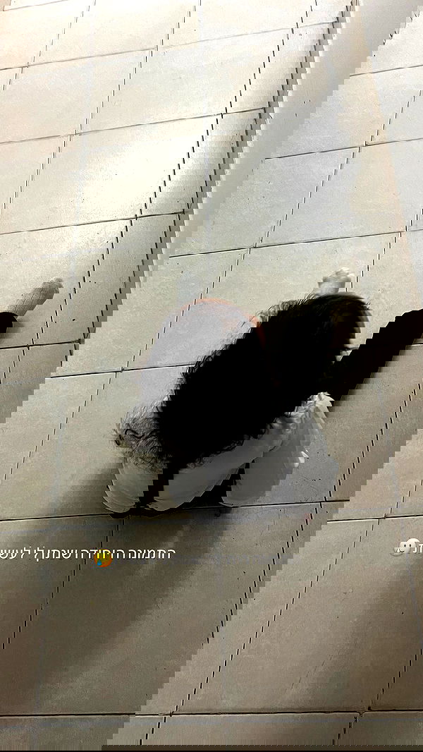 rebecka_tsadok rebecka_tsadok archive image