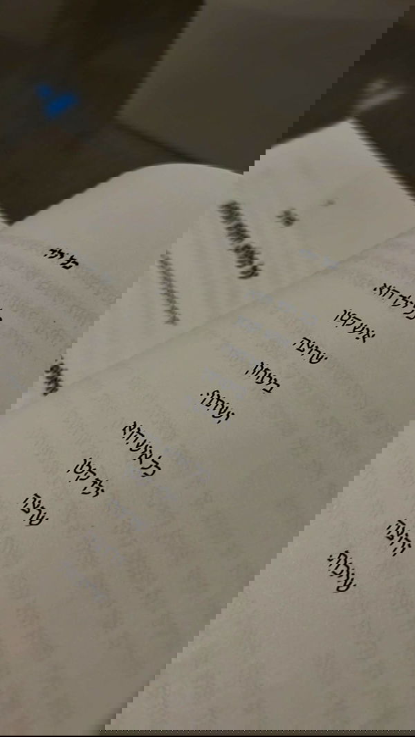 rebecka_tsadok rebecka_tsadok archive image