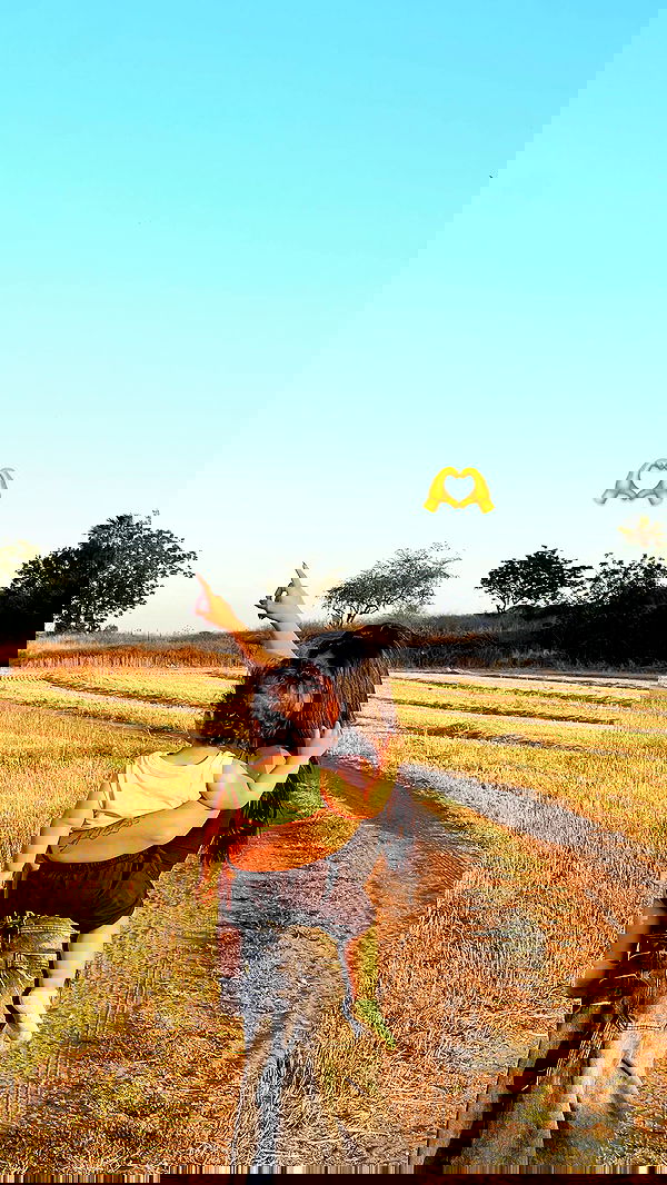 rebecka_tsadok rebecka_tsadok archive image